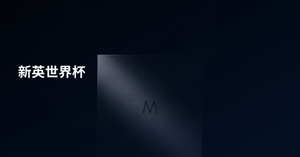 新英世界杯