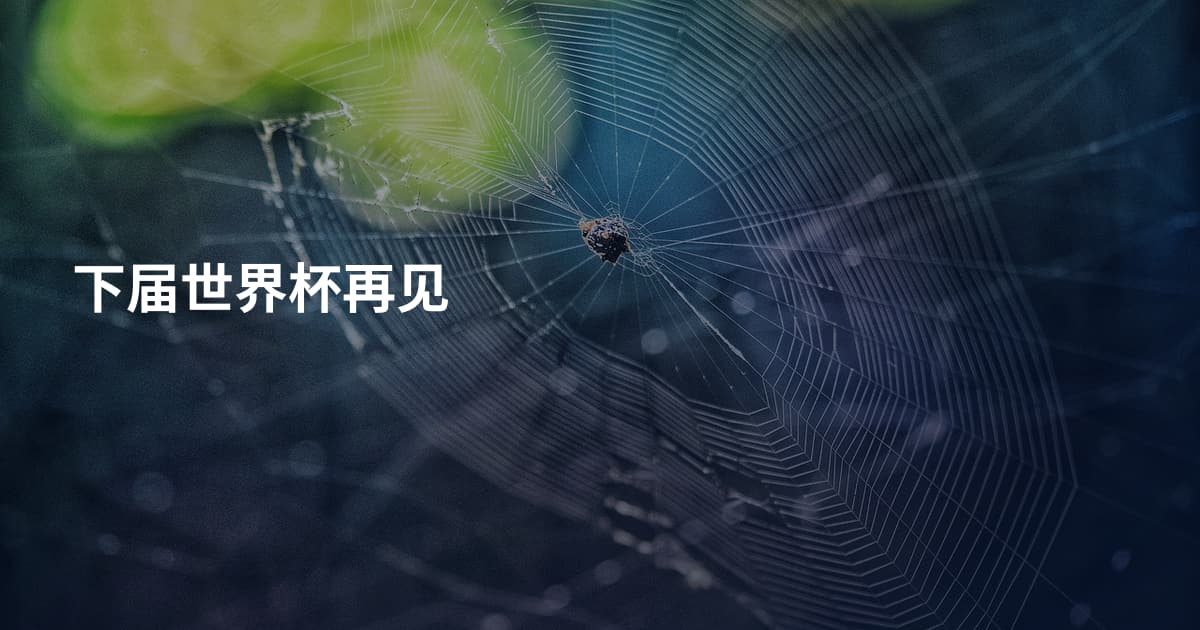 下届世界杯再见