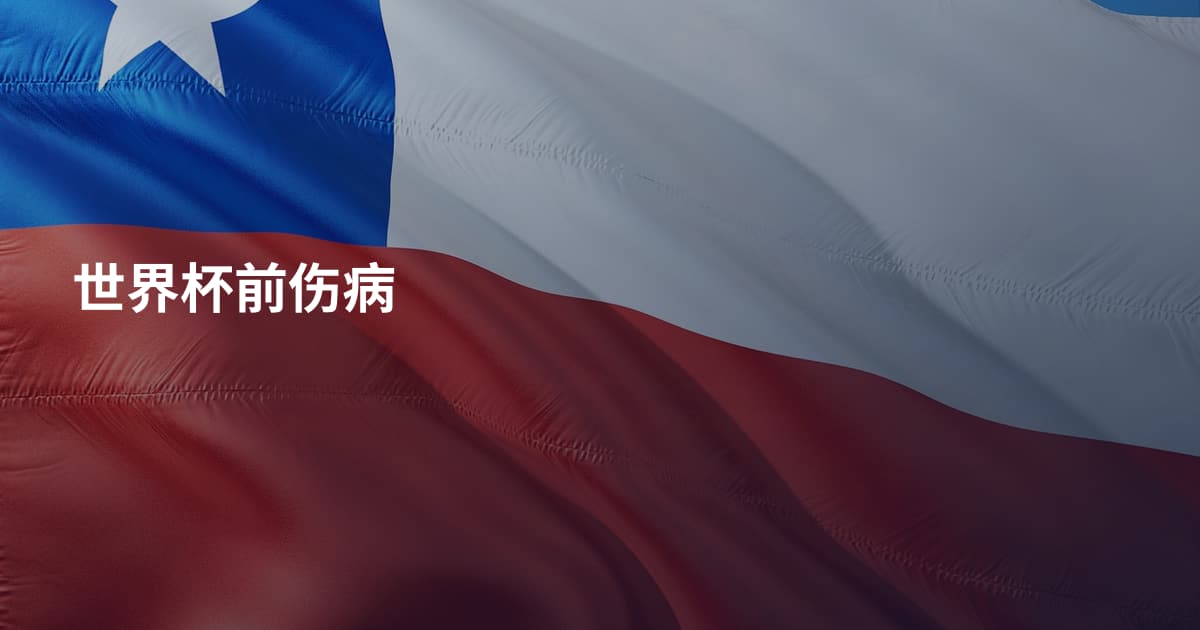 世界杯前伤病
