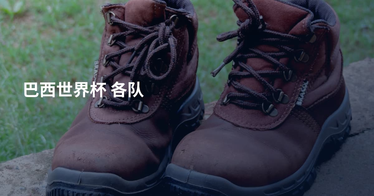 巴西世界杯 各队