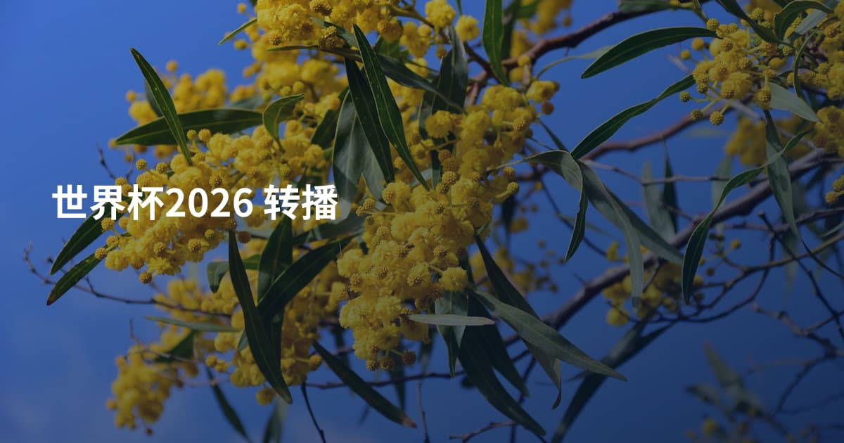 世界杯2026 转播