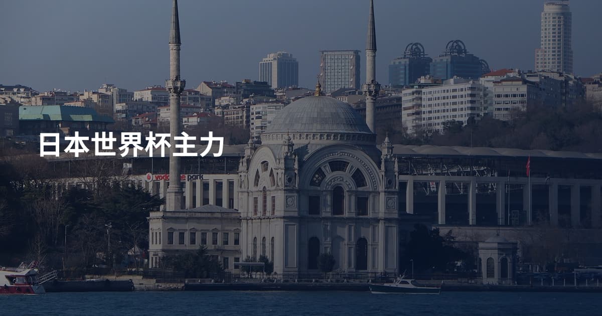 日本世界杯主力