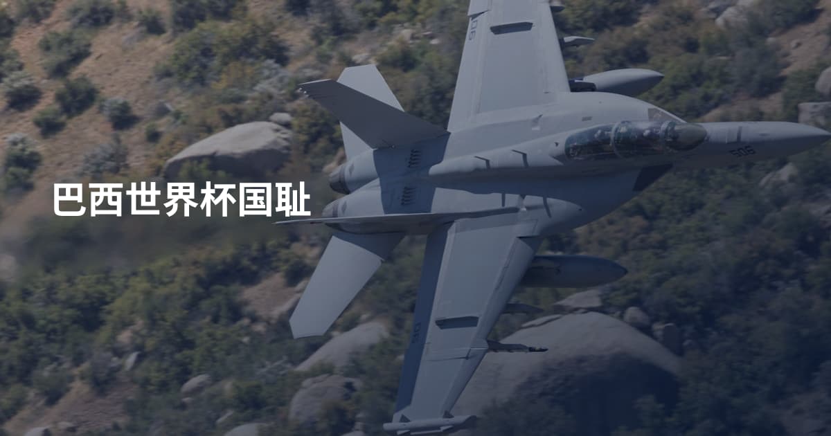 巴西世界杯国耻