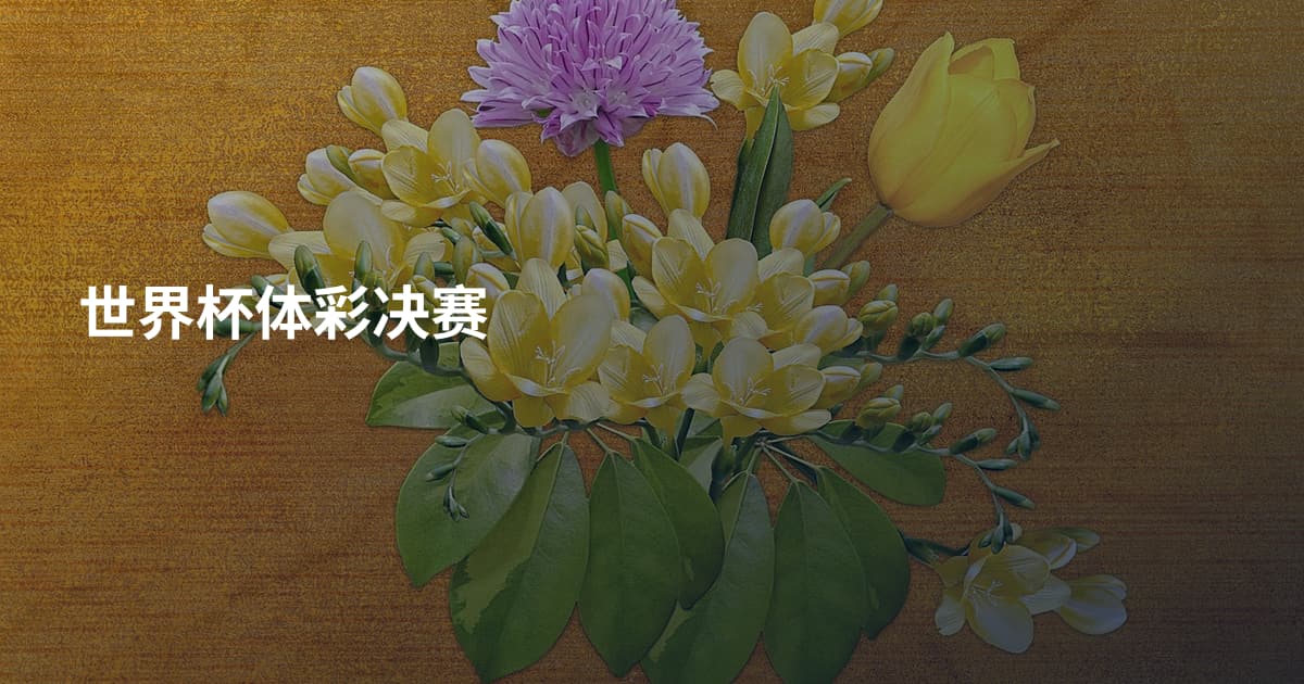 世界杯体彩决赛