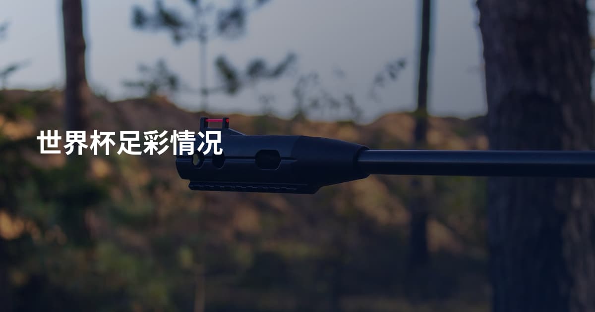 世界杯足彩情况