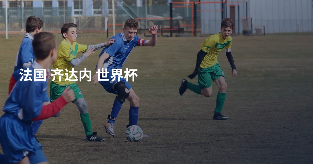 法国 齐达内 世界杯
