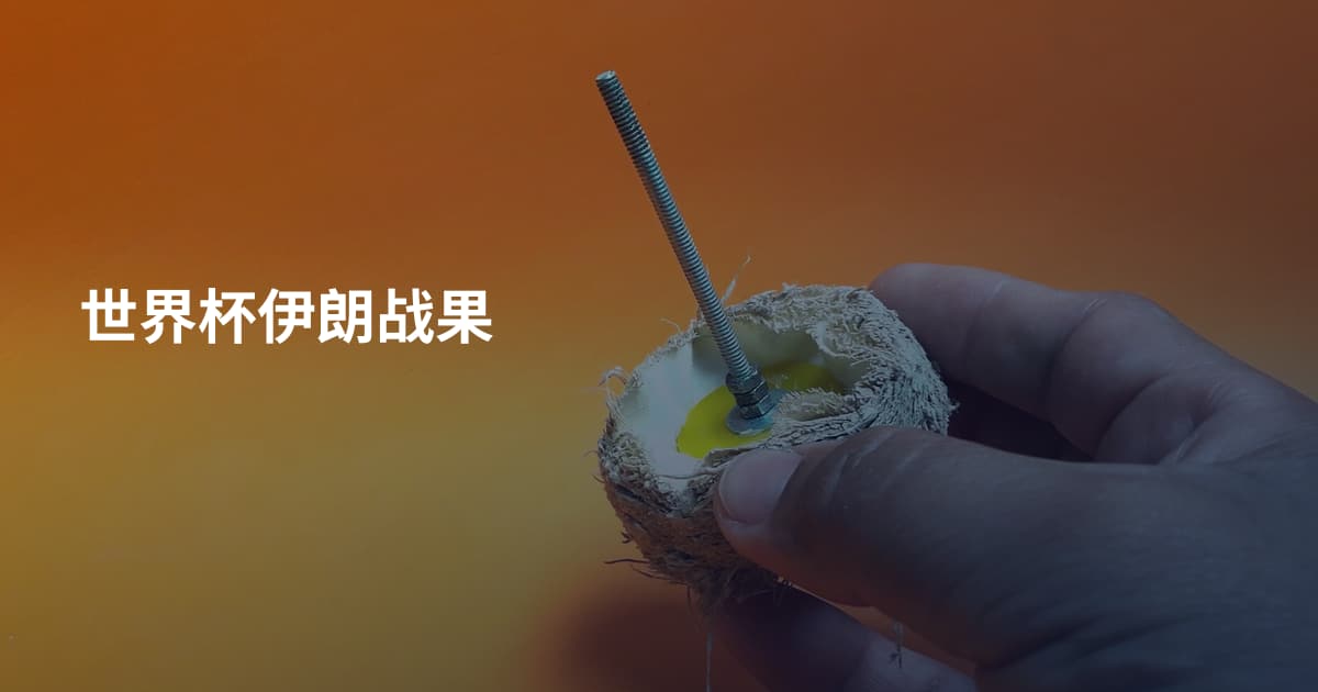 世界杯伊朗战果