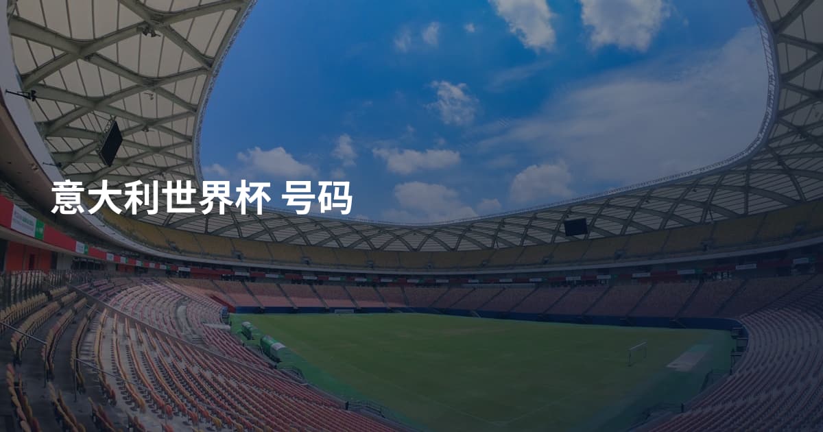 意大利世界杯 号码