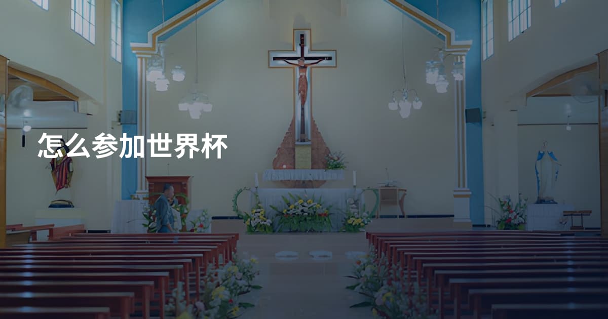 怎么参加世界杯