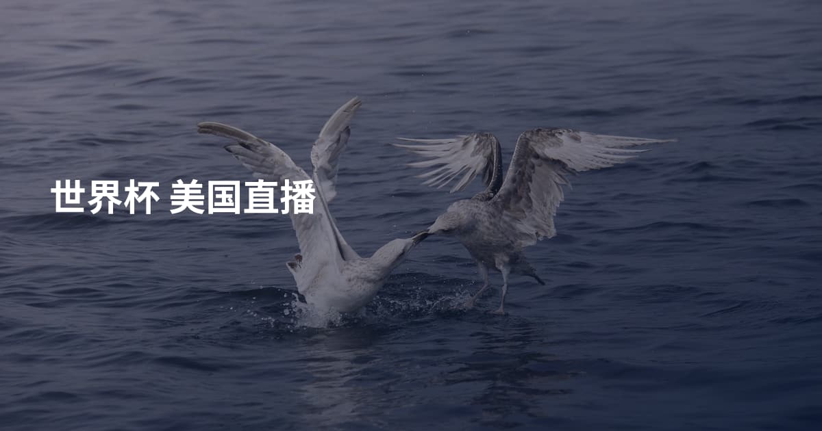 世界杯 美国直播