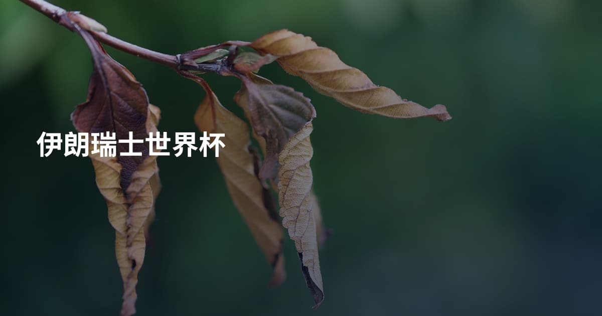 伊朗瑞士世界杯