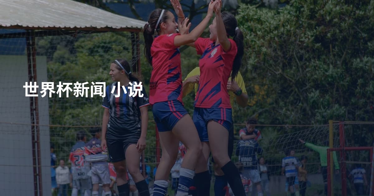 世界杯新闻 小说