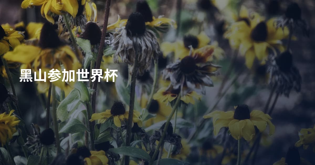 黑山参加世界杯