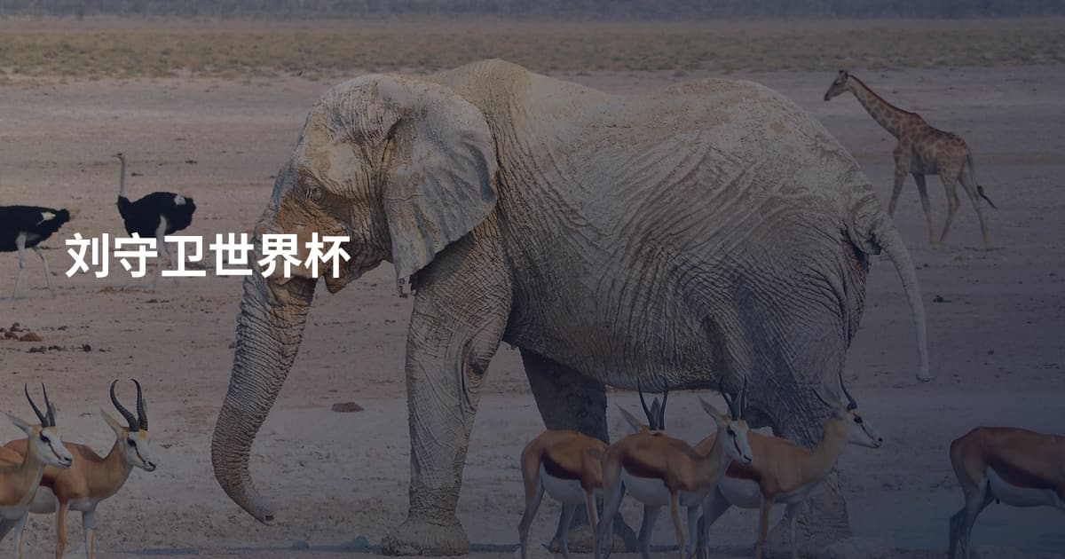 刘守卫世界杯