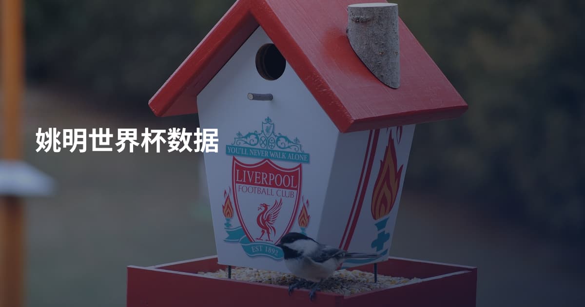 姚明世界杯数据