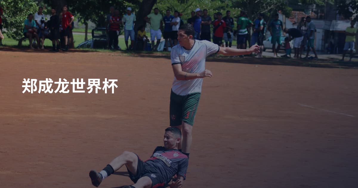郑成龙世界杯