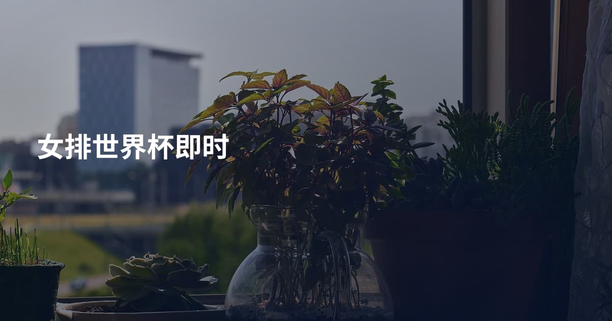 女排世界杯即时