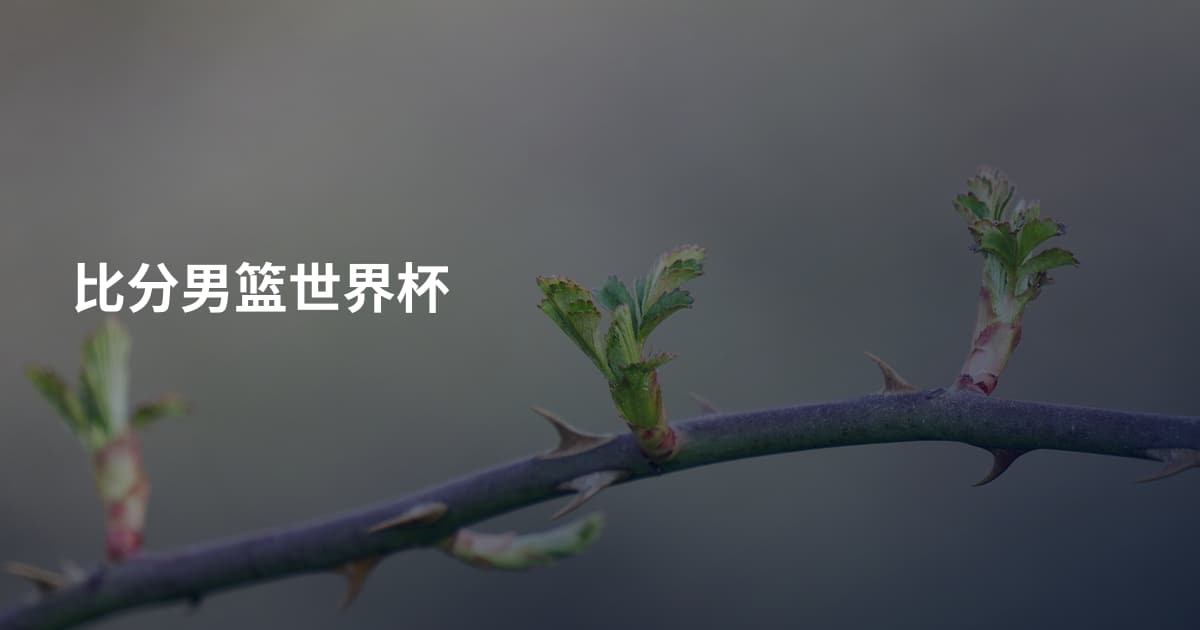比分男篮世界杯