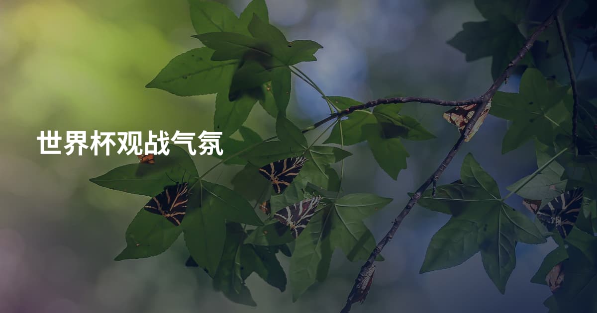 世界杯观战气氛