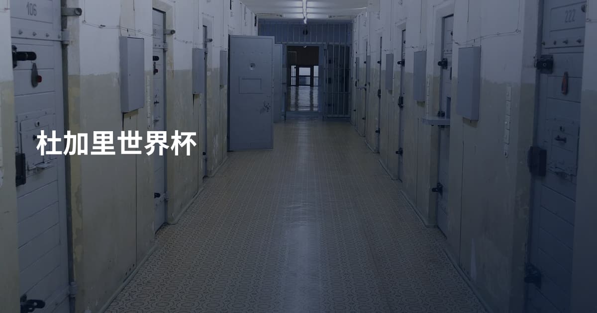 杜加里世界杯