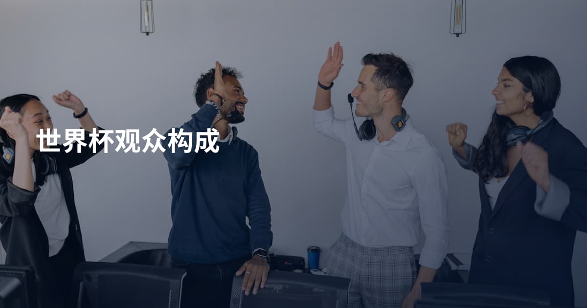 世界杯观众构成