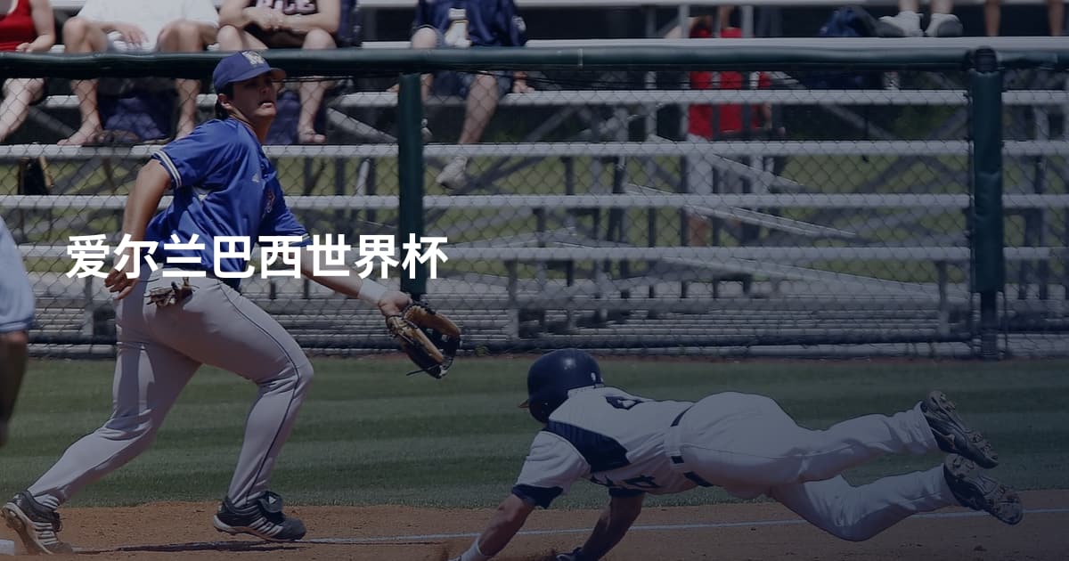 爱尔兰巴西世界杯