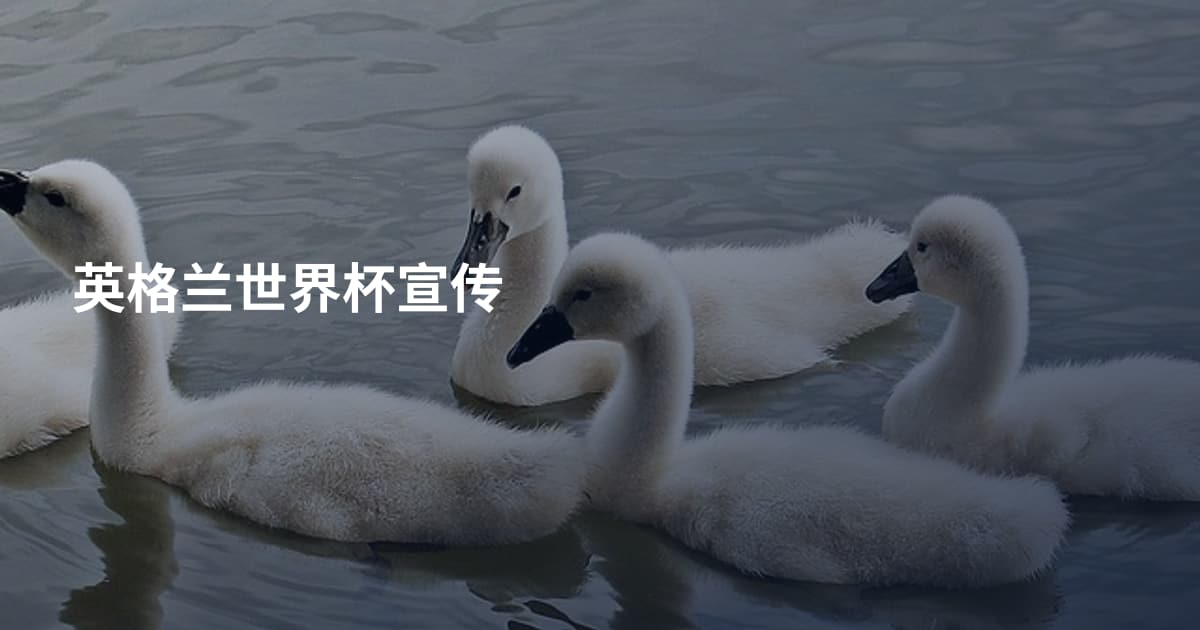 英格兰世界杯宣传