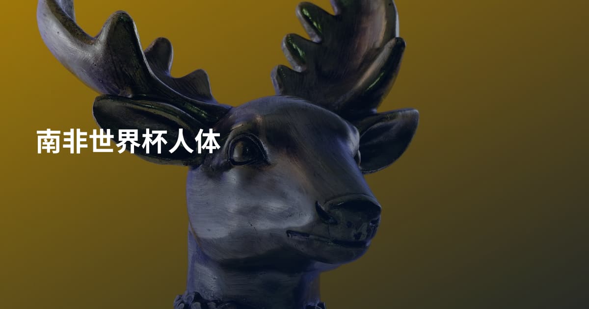 南非世界杯人体