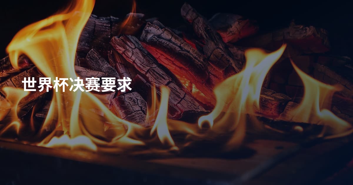 世界杯决赛要求