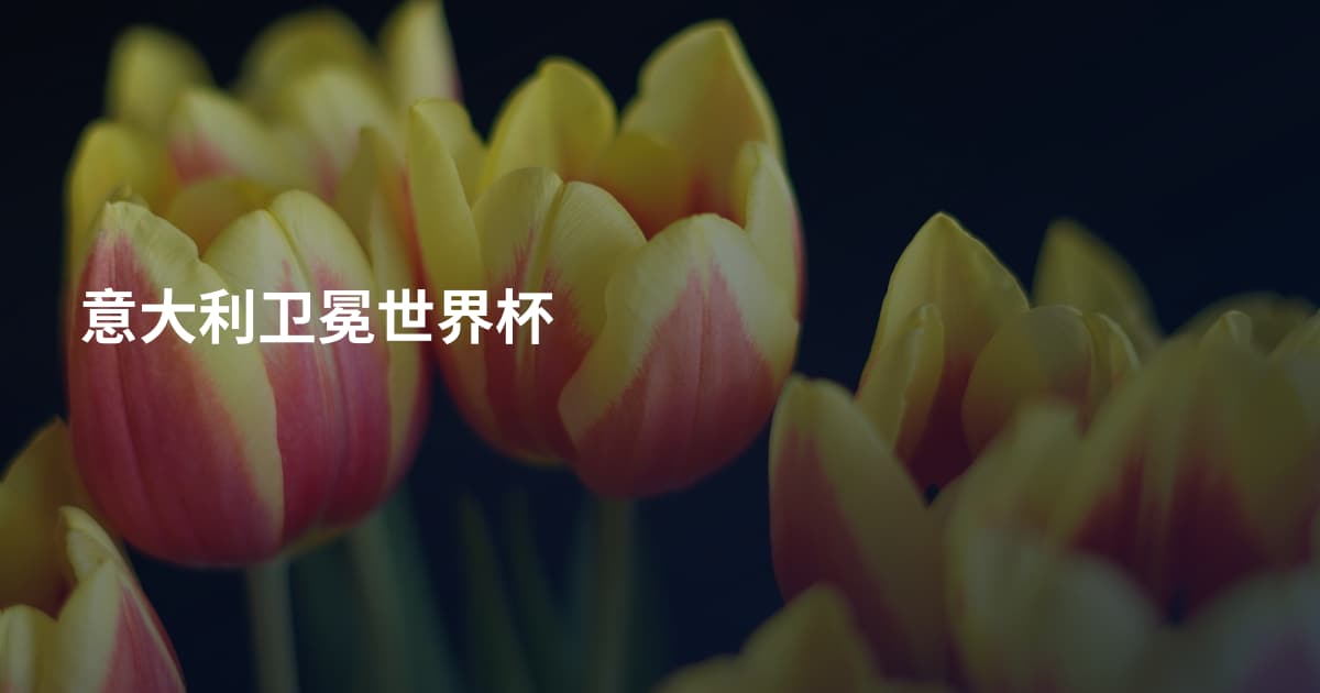 意大利卫冕世界杯