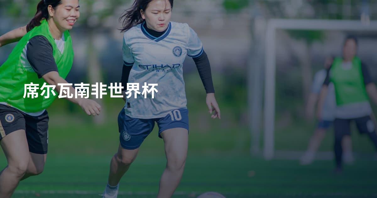席尔瓦南非世界杯
