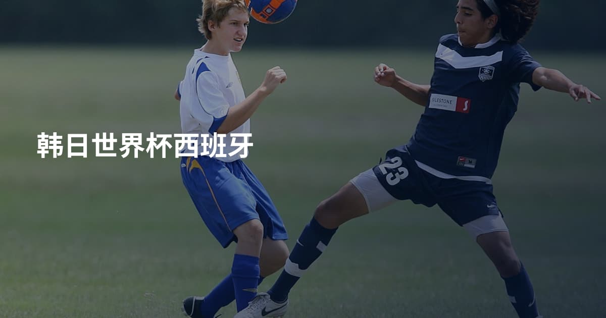 韩日世界杯西班牙