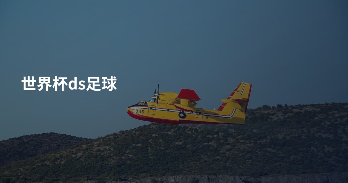世界杯ds足球