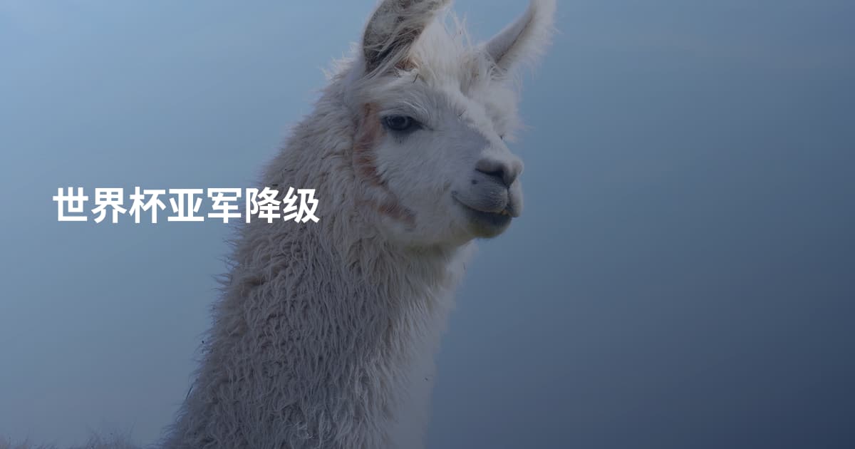 世界杯亚军降级