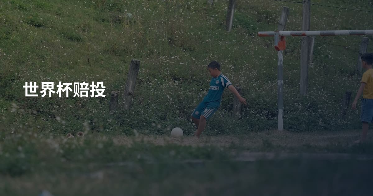世界杯赔投