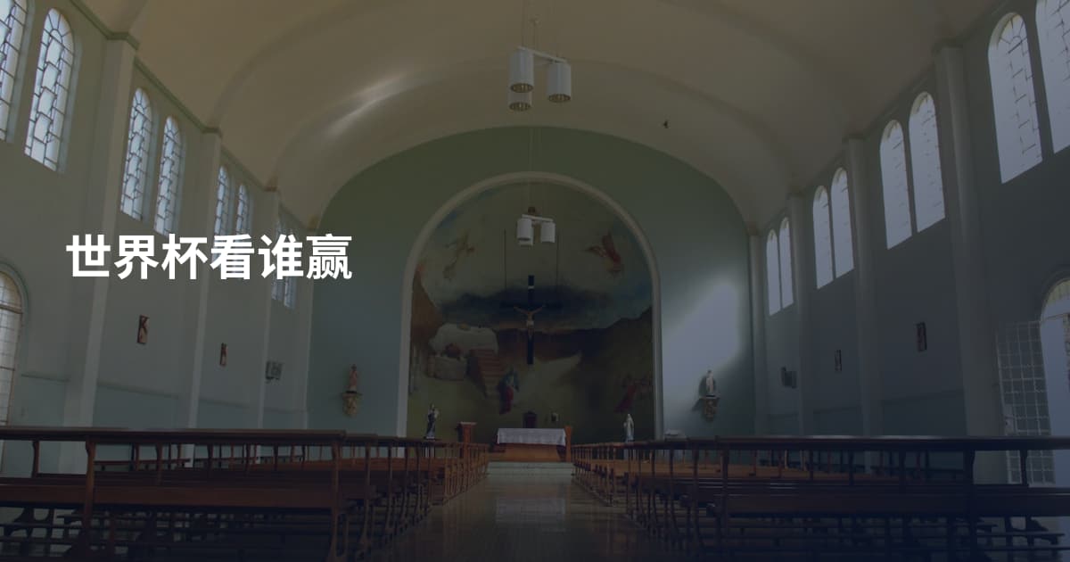 世界杯看谁赢
