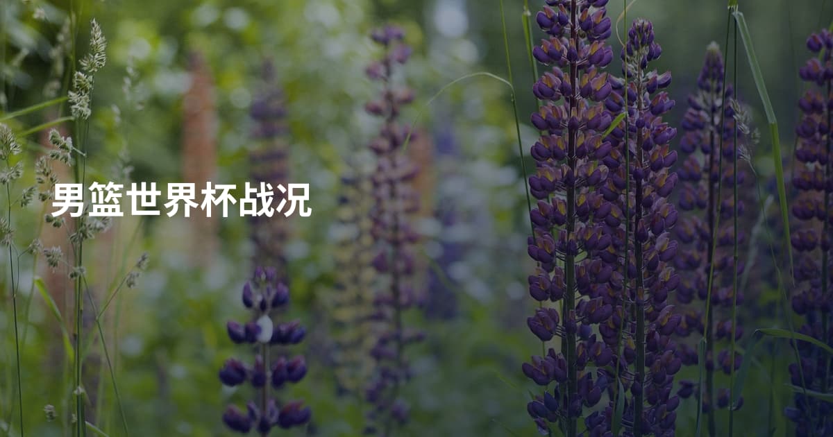 男篮世界杯战况
