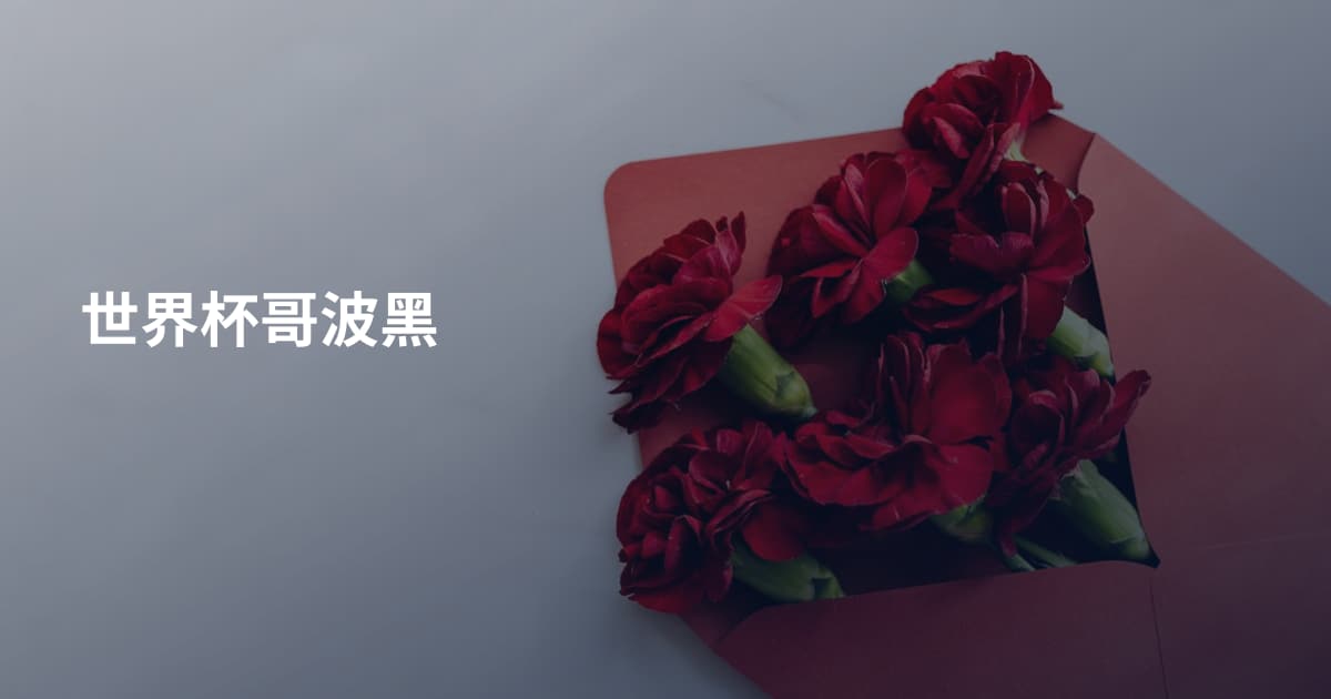 世界杯哥波黑