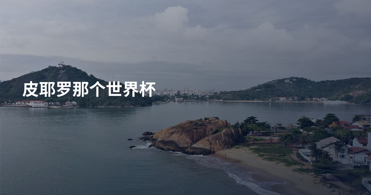 皮耶罗那个世界杯