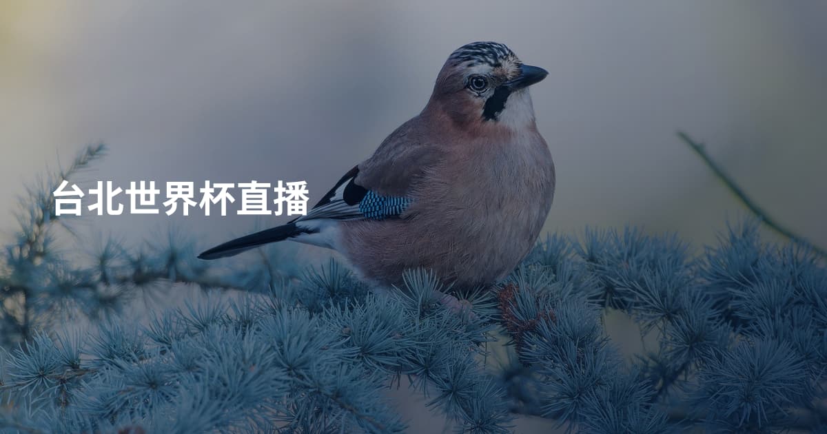 台北世界杯直播