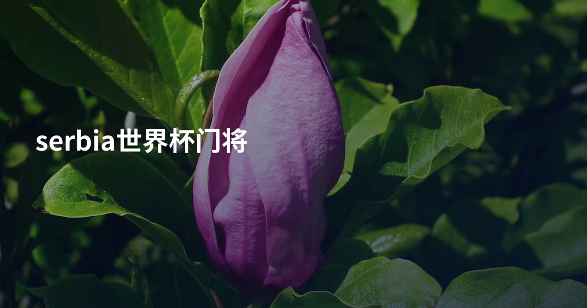 serbia世界杯门将