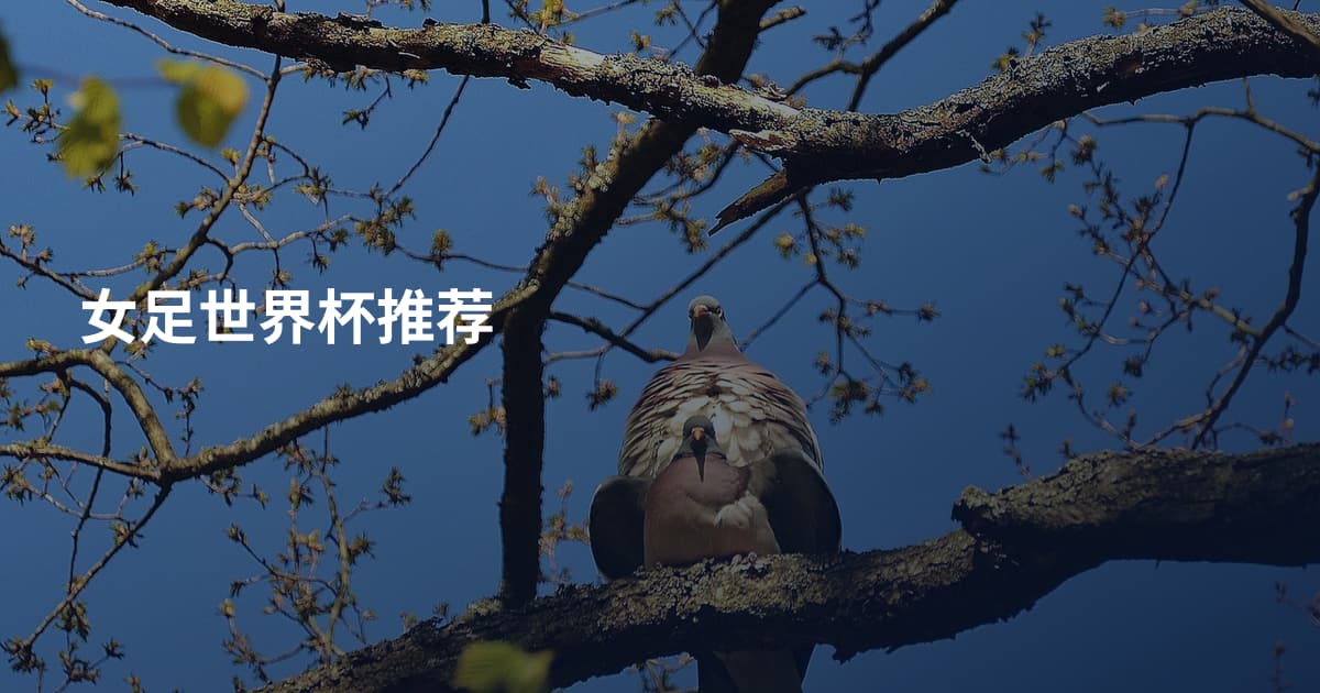 女足世界杯推荐