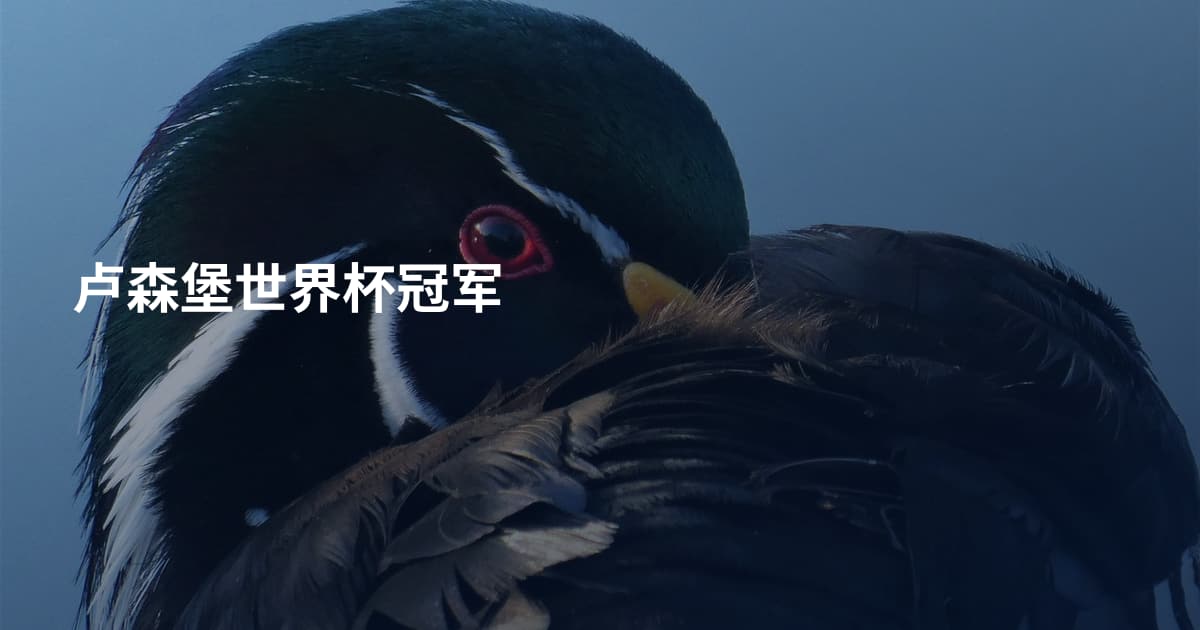 卢森堡世界杯冠军