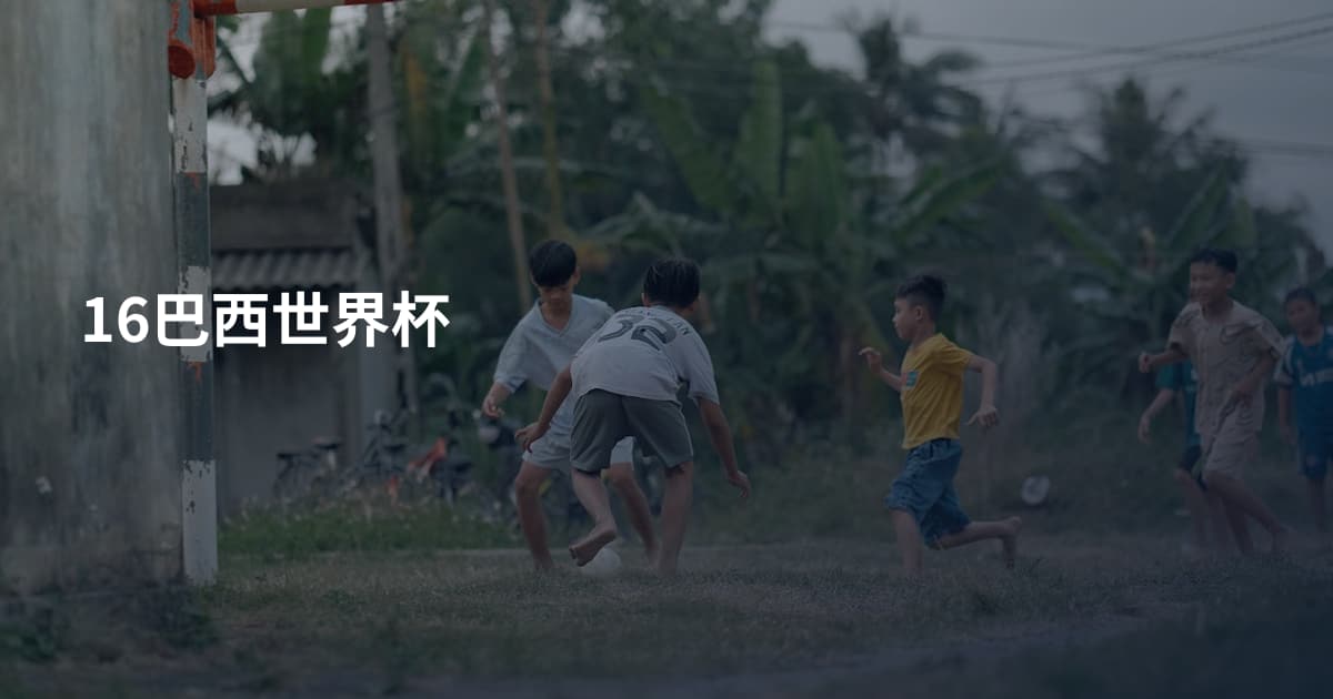 16巴西世界杯
