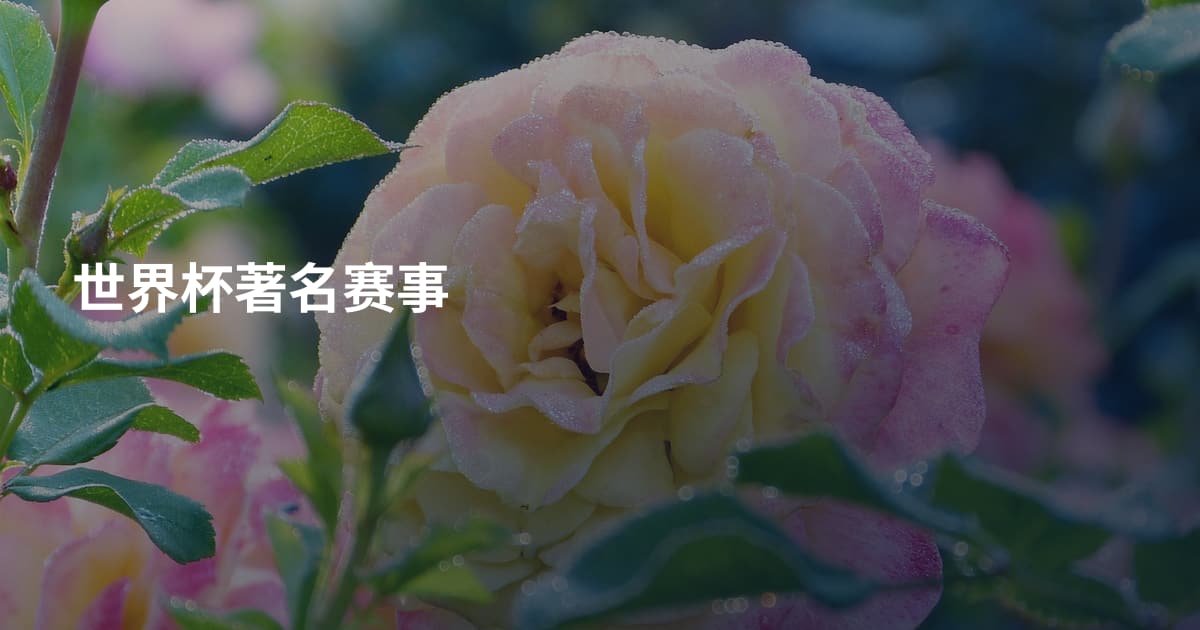 世界杯著名赛事