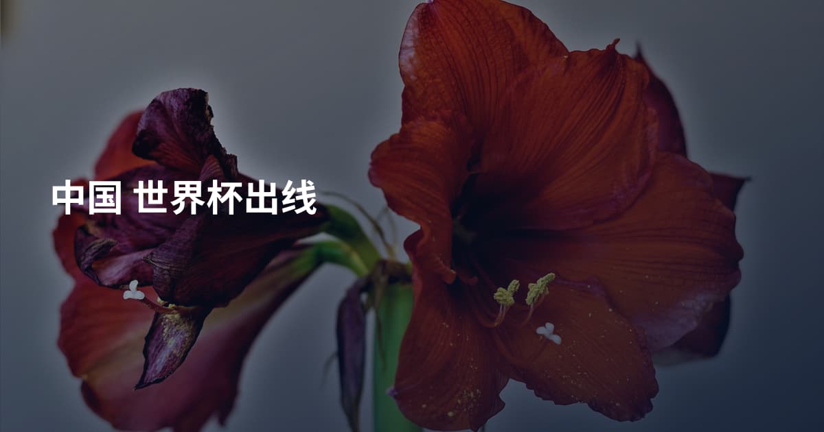 中国 世界杯出线