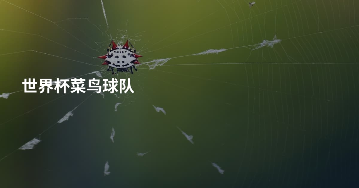 世界杯菜鸟球队