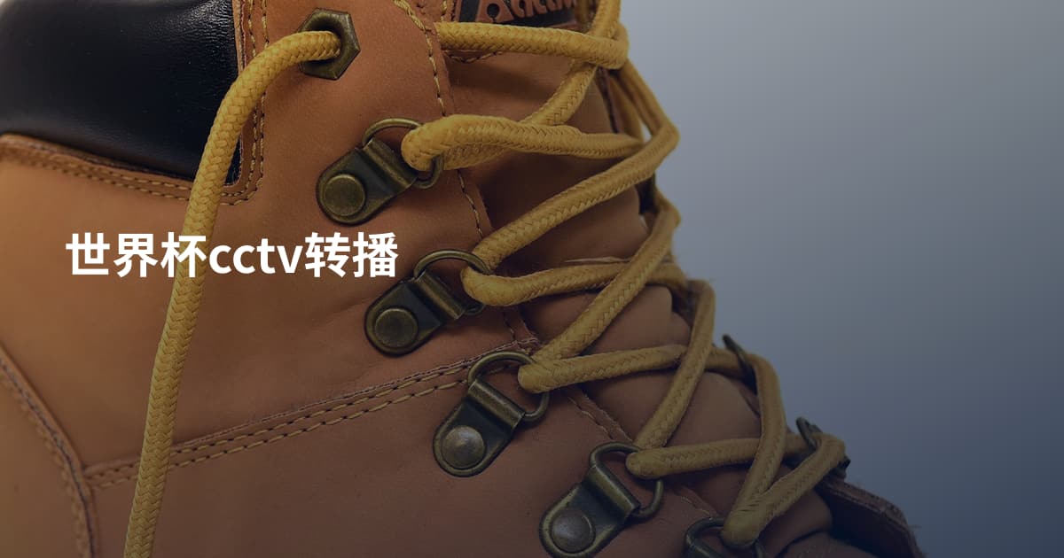世界杯cctv转播
