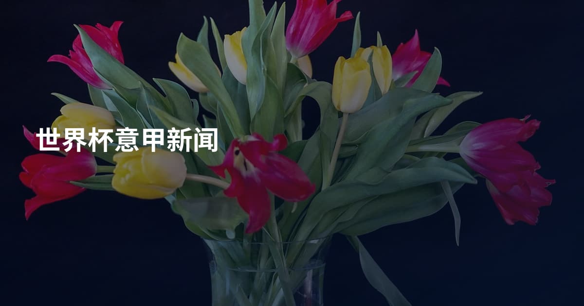 世界杯意甲新闻
