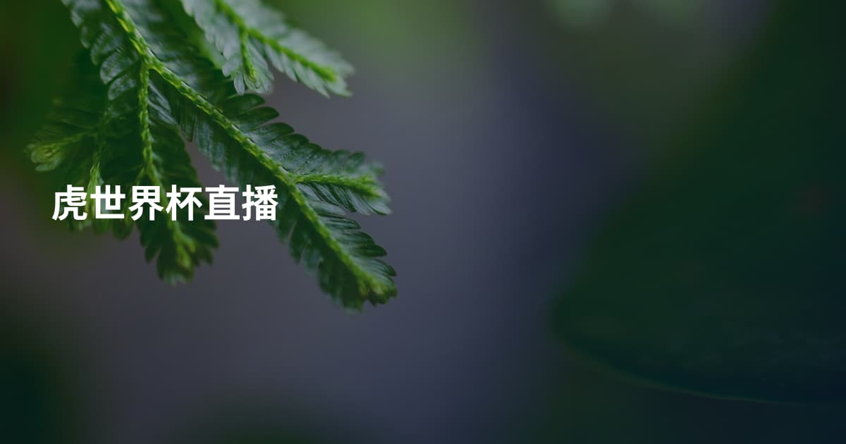 虎世界杯直播